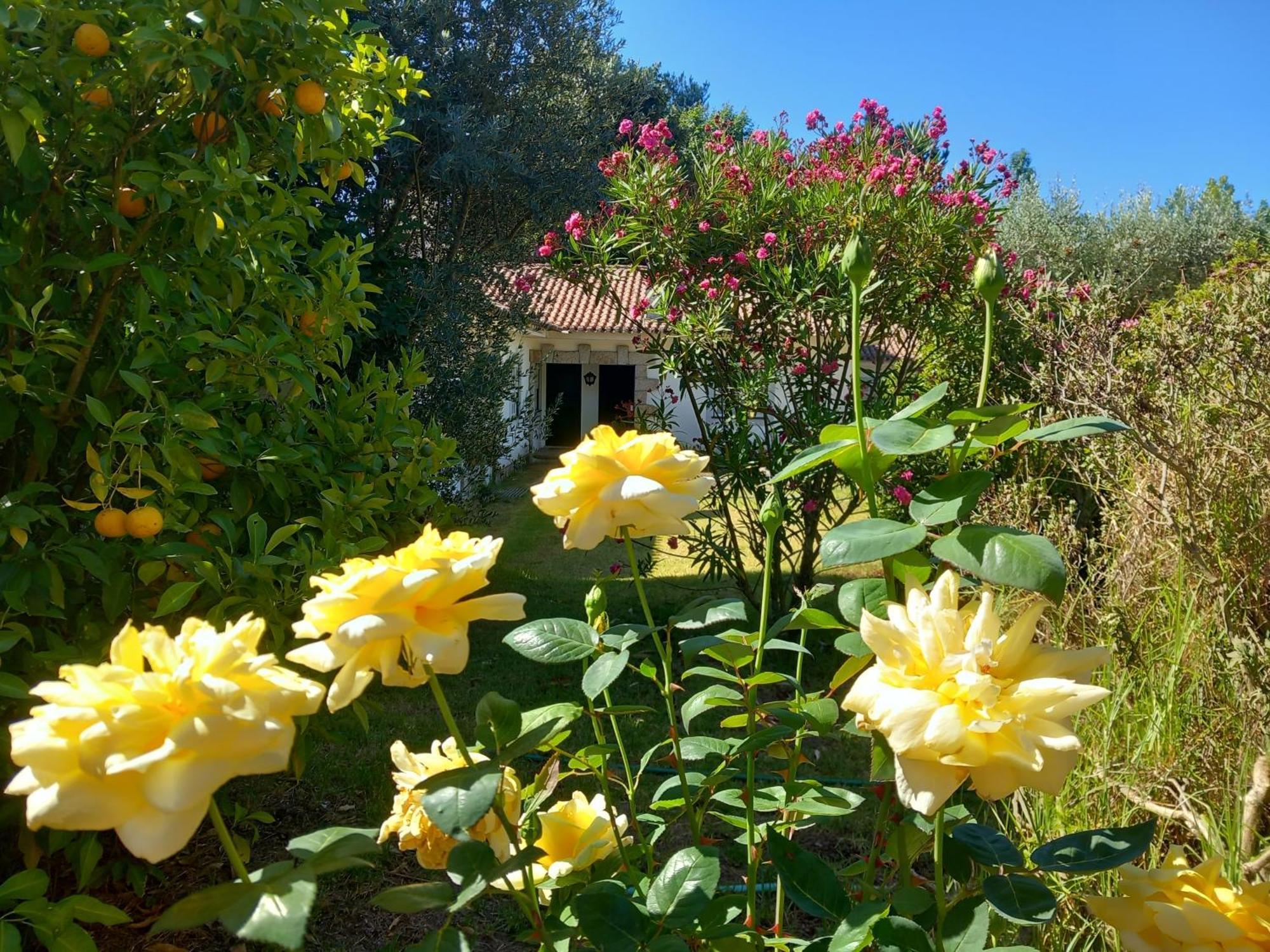 Casas Do Zagao - Turismo Rural Carregal do Sal ภายนอก รูปภาพ